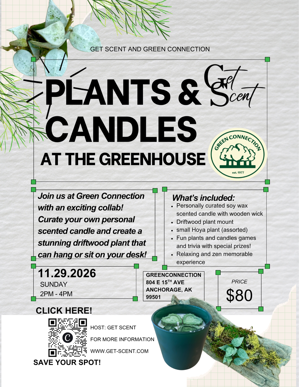 Plants and Candles